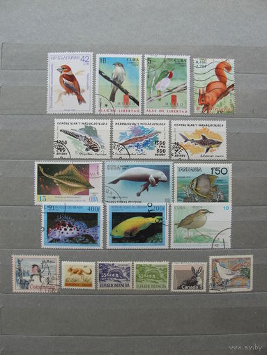 Продажа коллекции с 1 рубля! Фауна на почтовых марках мира.