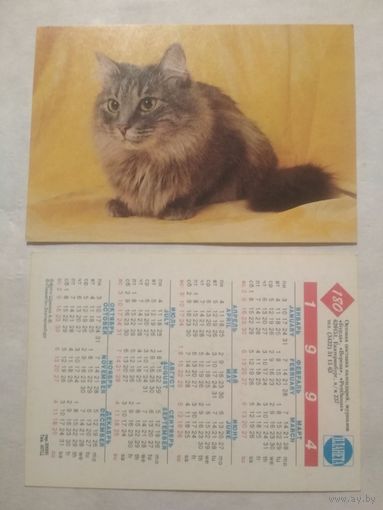 Карманный календарик. Котик.1994 год