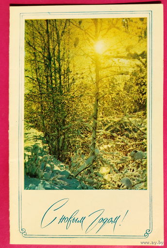 С новым годом! Подписанная. Двойная. 1973 года. Фото Костенко. 1622.