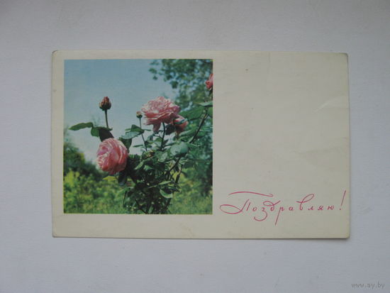 Боровская Т. 1968г.