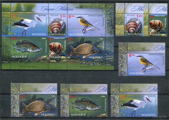 Молдавия 2014. Фауна