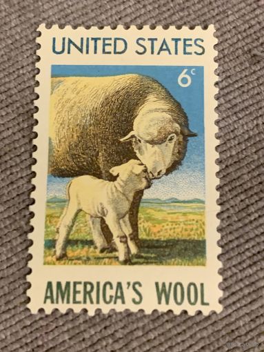 США. American Wool