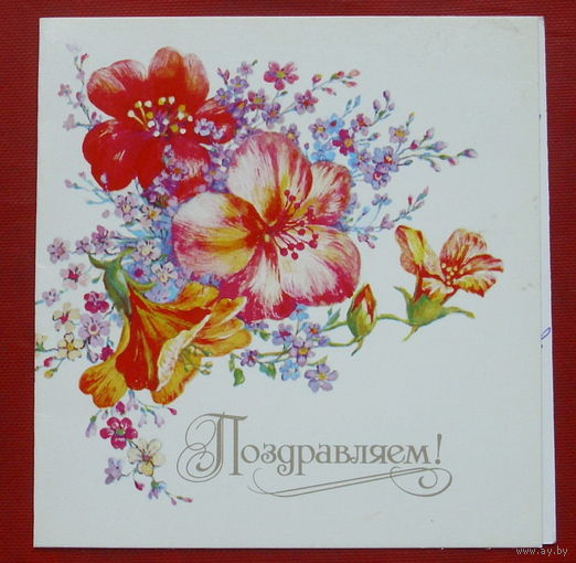 Поздравляем! Подписанная. Двойная. 1988 года. Видяпина. 874.