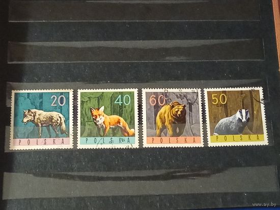 Польша 1965 Фауна. Дикие животные. 4 марки
