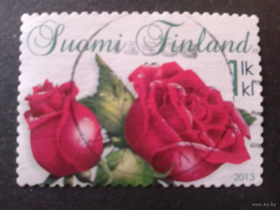 Финляндия 2013 розы