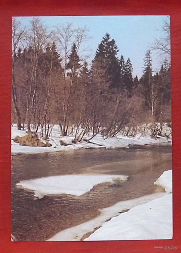 Весна. Чистая. 1989 года. Фото Листопадова. 910.