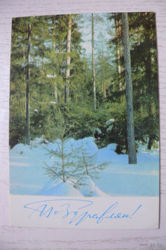Матанов Н., Рыклин В., Поздравляю! 1967, подписана (размер 9*14).