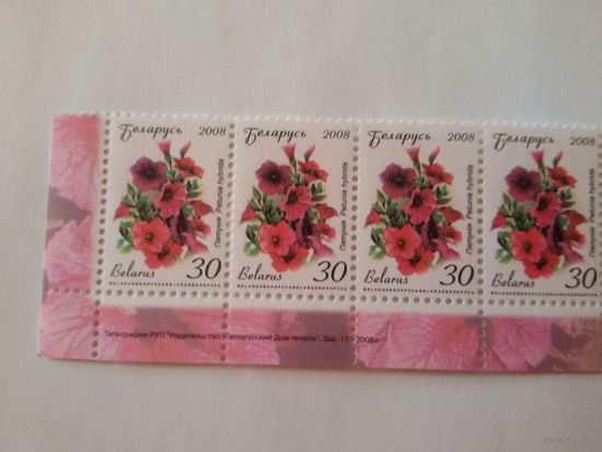 Двенадцатый стандарт. 30 р. Зак. 111-2008. Нижняя сцепка (А028)