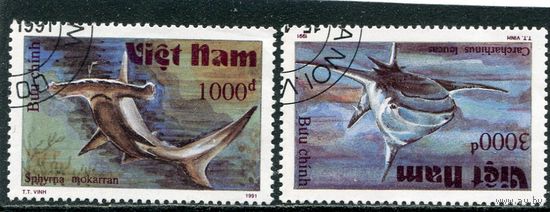 Вьетнам. Морская фауна. Акулы