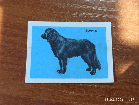 Спичечная этикетка Водолаз