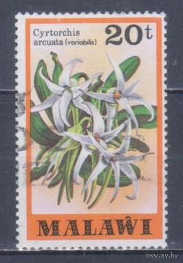 [858] Малави 1979. Флора.Цветы.Орхидея. Гашеная марка.