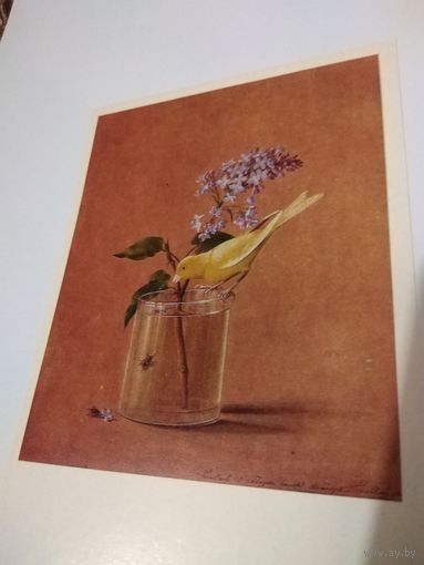 Открытка 1976г. Чистая. Художник Ф. П. Толстой. Ветка сирени и канарейка.
