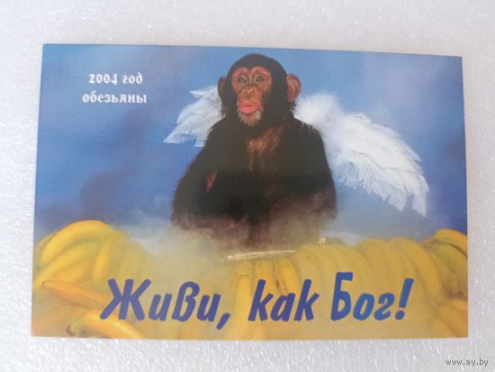 Животные, Обезьяны, 2004 год. Карманные календарики, Календарик, Календарь