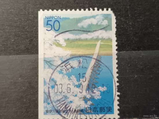 Япония, 2002. Мост через реку, сакура