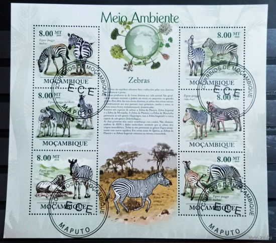 ЛИСТ ФАУНА животные  СТО