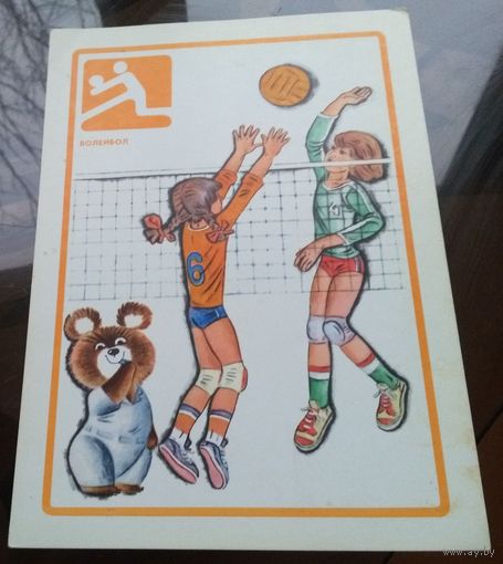 Волейбол Олимпийский медведь