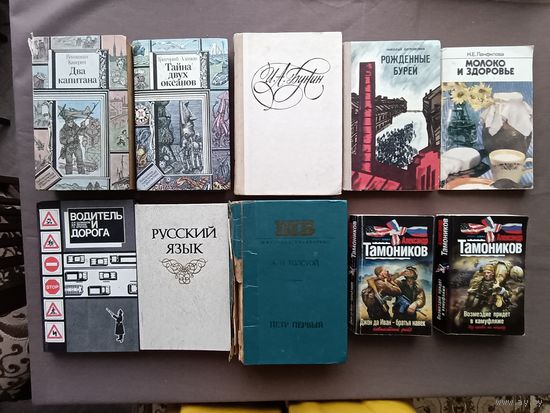 10 бэушных не в идеальном состоянии книг на разные темы для чтения на даче, в поездке, дома одним лотом, за всё всего 6 р.! (3558)
