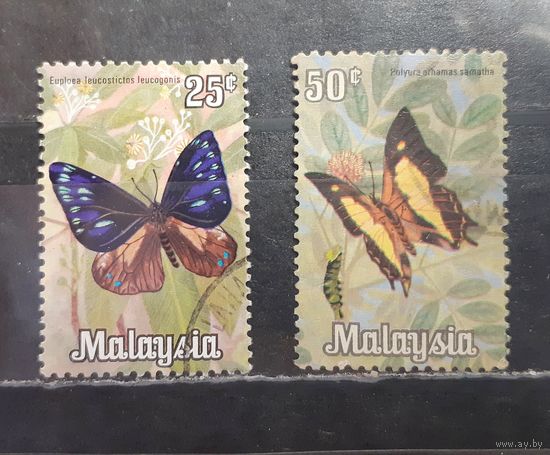Малайзия. Фауна. Бабочки (1408)