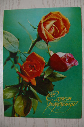 Костенко Г., С днем рождения! 1980, чистая.