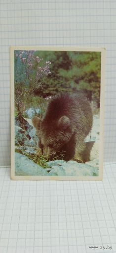 Календарик, 1990г.  14