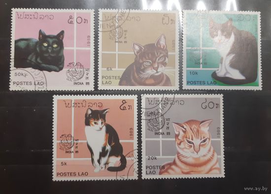 Лаос. 1989 год. Фауна. Кошки (747)