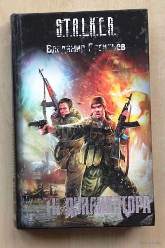Владимир Васильев. Дети дупликатора. (Серия "S.T.A.L.K.E.R.")