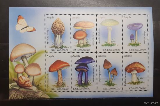 Ангола. Флора. Грибы. Блок (1019)