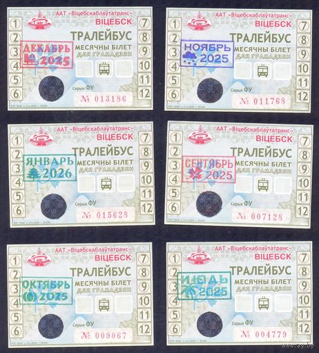 Витебск 2025 2026 проездной на месяц троллейбус