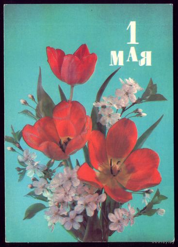 1989 год И.Дергилёв 1 мая чист