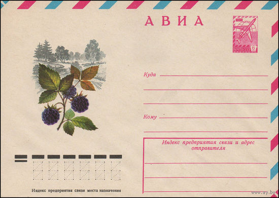 Художественный маркированный конверт СССР N 12238 (12.07.1977) АВИА  [Ежевика]
