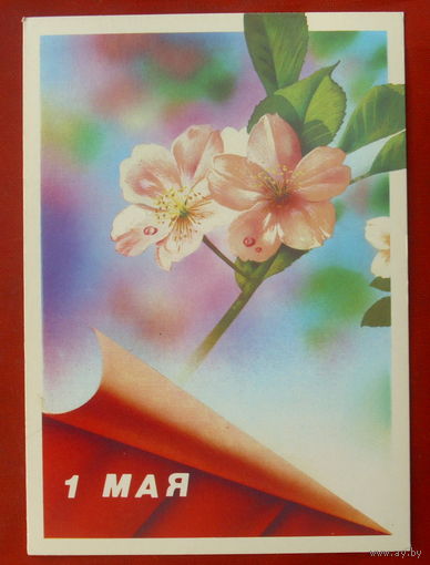 1 Мая! Чистая. 1989 года. Жомков. 108.