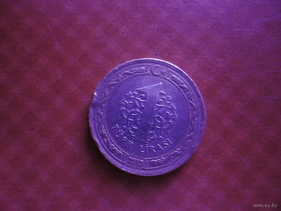 1 лира 2015 год