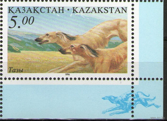 Казахстан, фауна, собака, 1996 г. Национальная охота **  Гончая Тазы