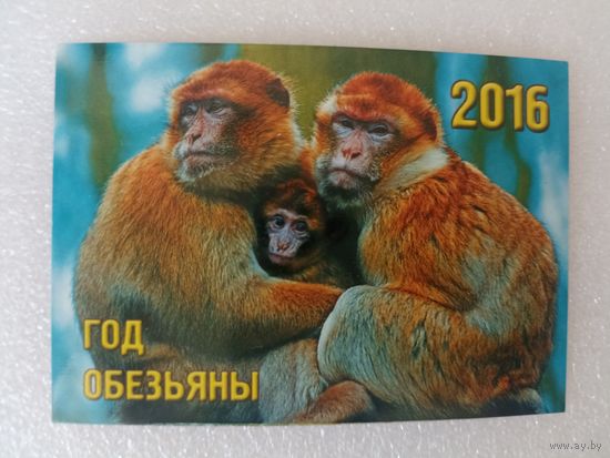 Животные, Обезьяны, 2016 год. Карманные календарики, Календарик, Календарь
