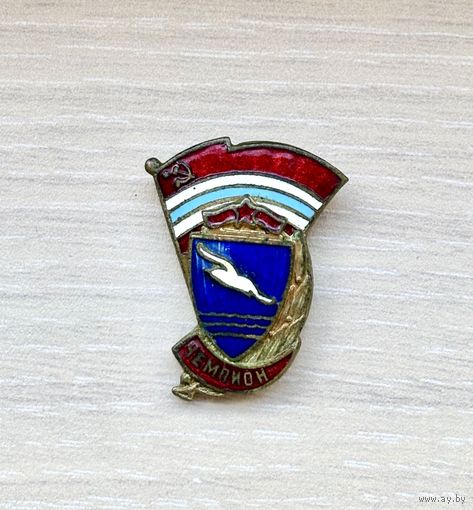 Лот с 1 рубля. Знак ДСО Буревестник.Чемпион, СССР