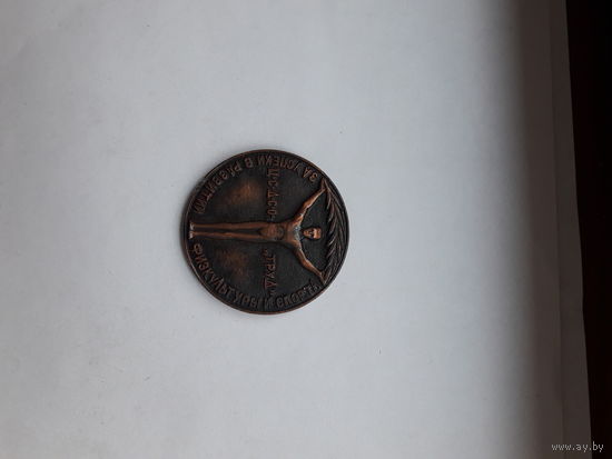 Медаль ЦС ДСО Труд За успехи в развитии физкультуры спорт 45 мм