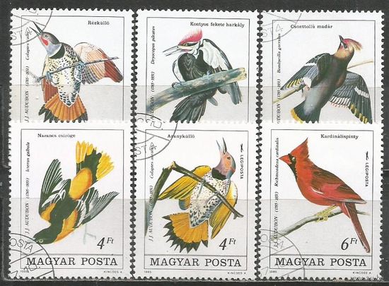 Венгрия. 200 лет со дня рождения Д.Д.Одюбона. Натуралист. 1985г. Mi#3760-65. Серия.