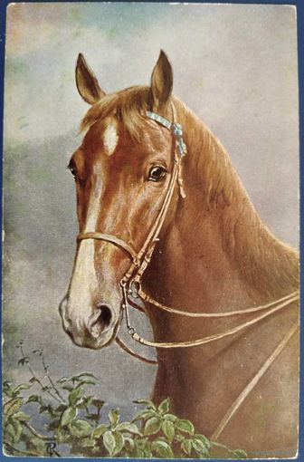 Портрет коричневой лошади. Карл Райхерт. Германия. Латвийская почта. 1924 г.