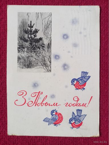 С Новым Годом! Белорусская открытка. Круглов 1967 г.