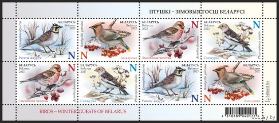 Птицы – зимние гости Беларуси Фауна Беларусь 2023 М\Лист **