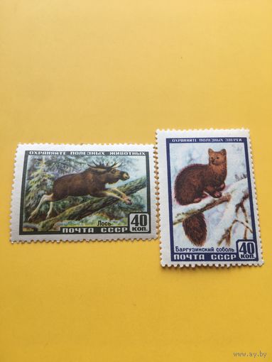 СССР 1957 год фауна