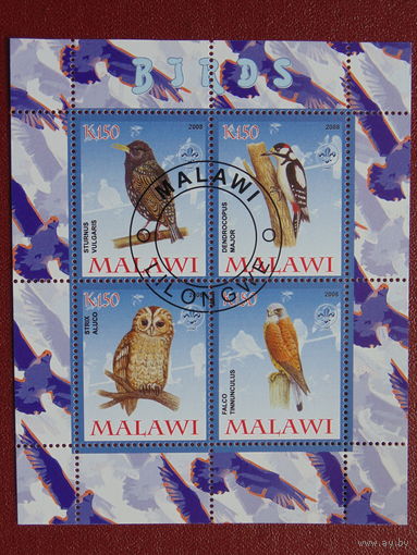 Малави 2008г. Птицы.