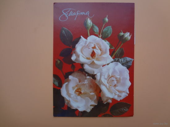 8 Марта.  Розы на красном.  1990 г.