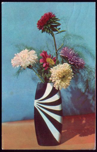 1973 год В.Кадышев Астры