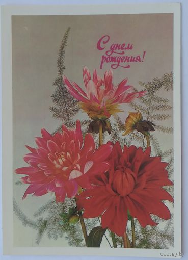 Открытка ,,с днем рождения !,, 1981 г. подписана