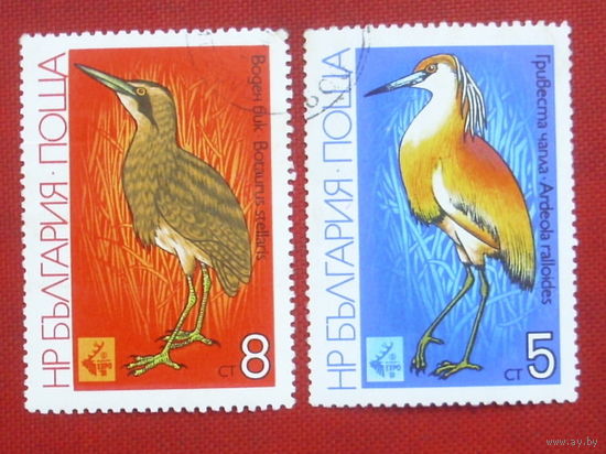 Болгария. Птицы. ( 2 марки ) 1981 года. 9-5.