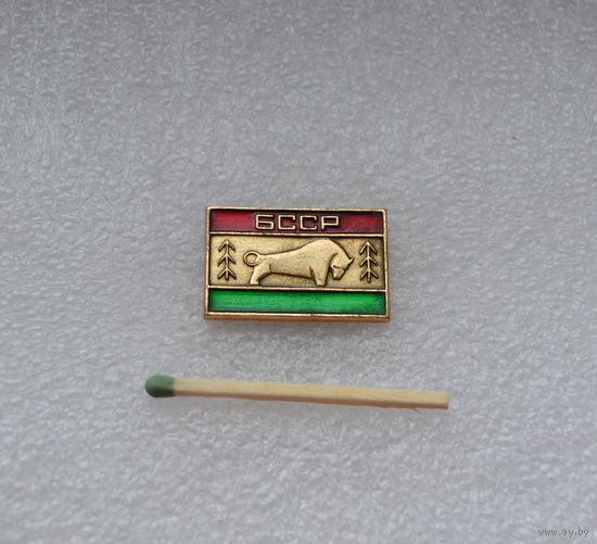 Зубр. Флаг БССР.