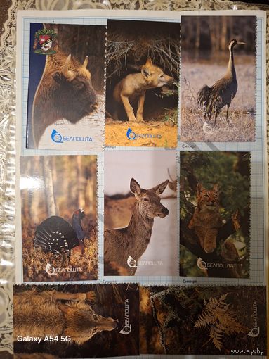Туристические карточки с животными Беларусь (за все)