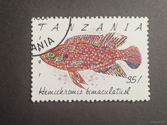 Танзания 1991. Рыбы