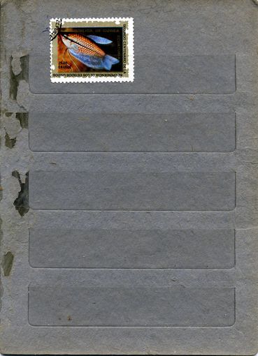 ЭКВАТОРИАЛЬНАЯ ГВИНЕЯ, ,  РЫБЫ,  1м  гашен